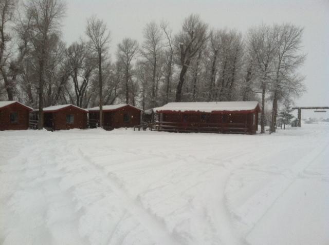 Teton Valley Cabins Driggs Exterior foto